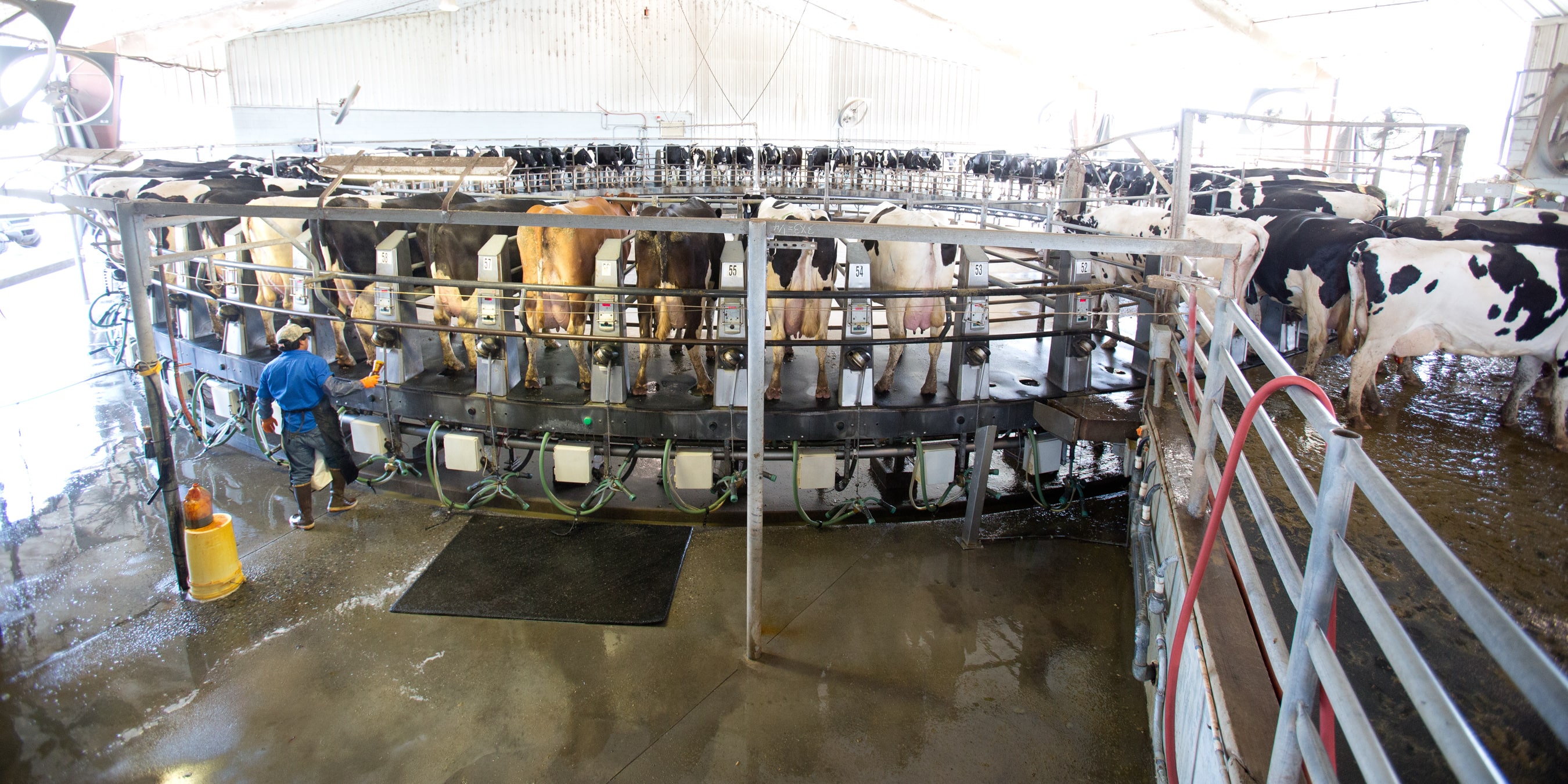 dairy farmer greg watts stands in front of milking truck