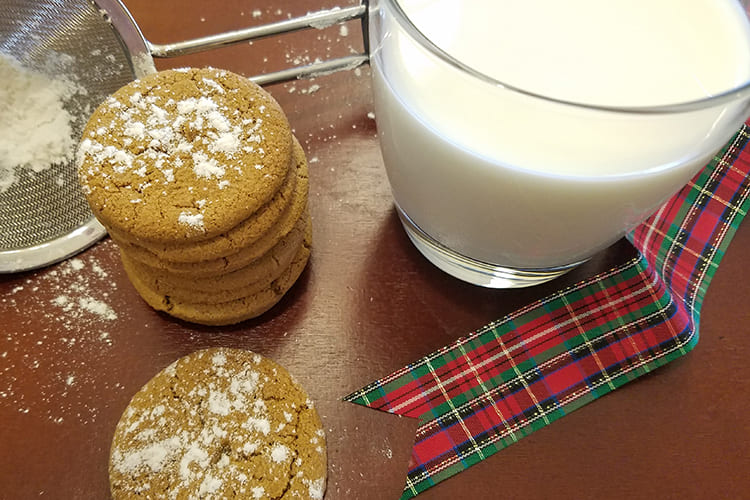 Snow Dusted Ginger Cookies Featured Image