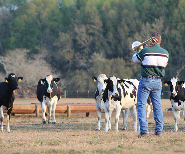 The Famous Florida Dairy Farmer MOOsical Jazz Concert Featured Image