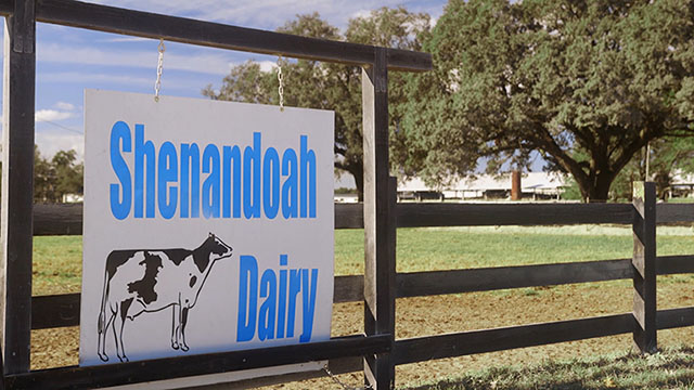 Tour a Florida dairy farm in honor of National Agriculture Day Featured Image